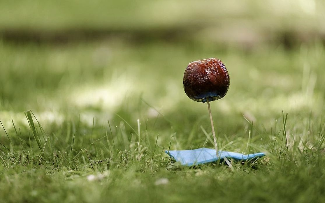Güneşli bir sokakta, vitrini lolipop ve rengarenk şekerlemelerle dolu mağazamız